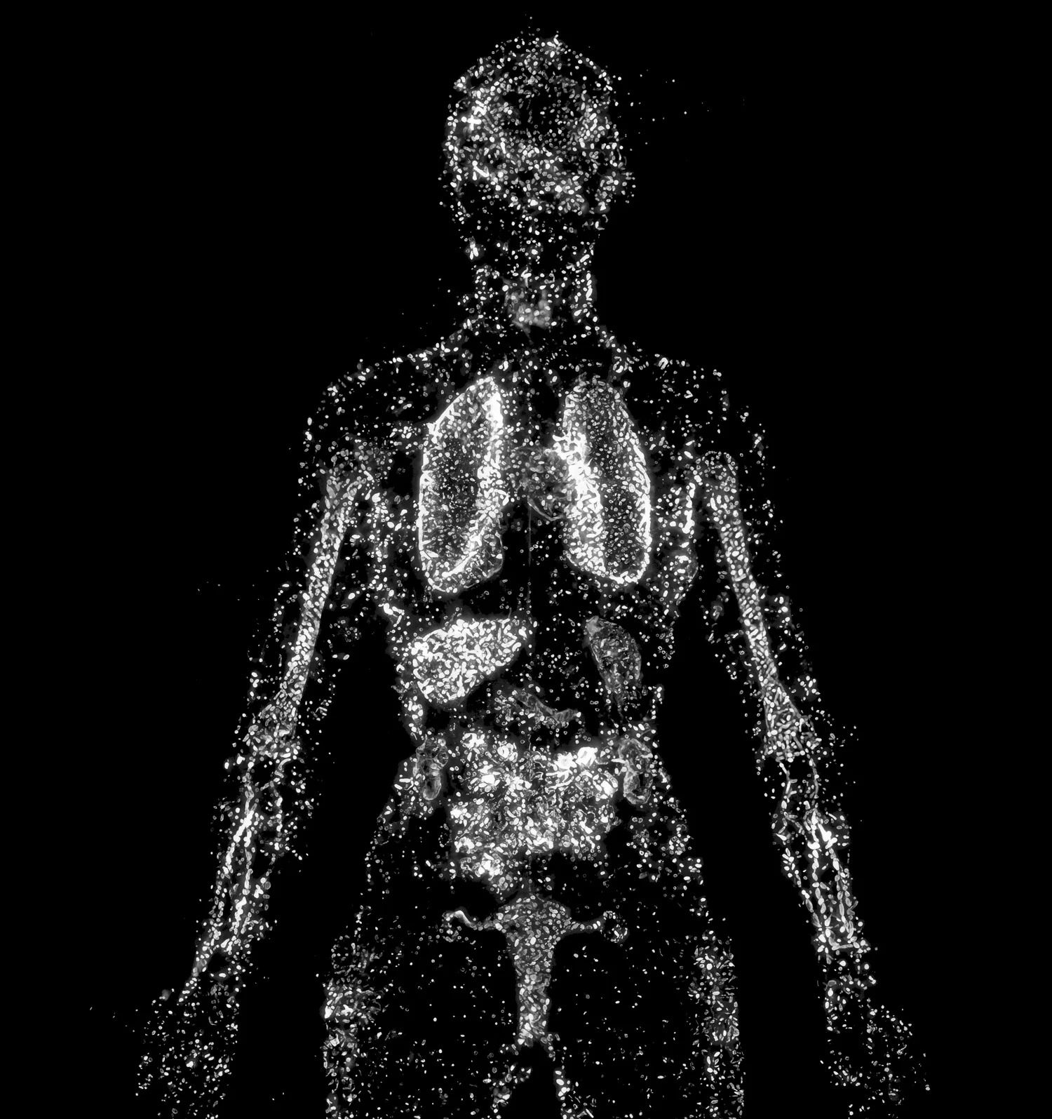 Human body biomarker visualization